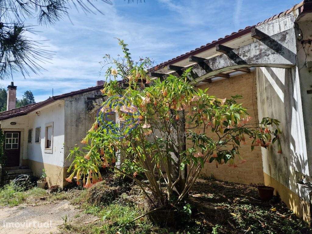 Restaurante para Venda em Figueiró dos Vinhos | Esplanada Panorâmica - Grande imagem: 3/8