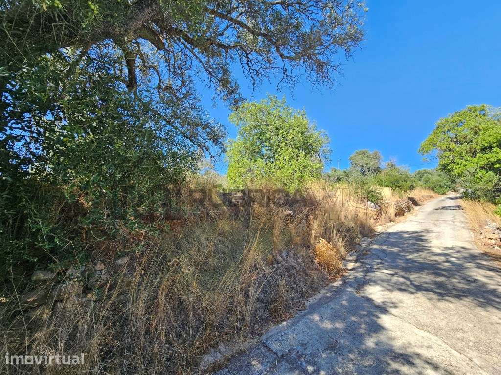 Terreno rústico perto de Querença com vista para a Umbria - Grande imagem: 5/7