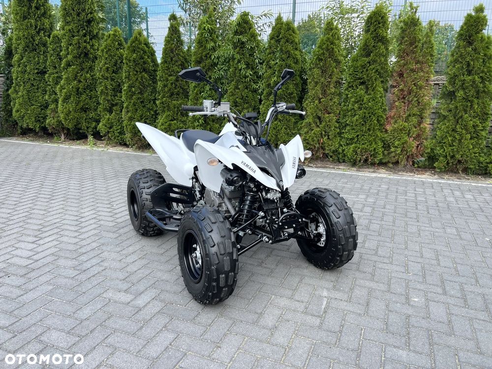 Yamaha Raptor - 3