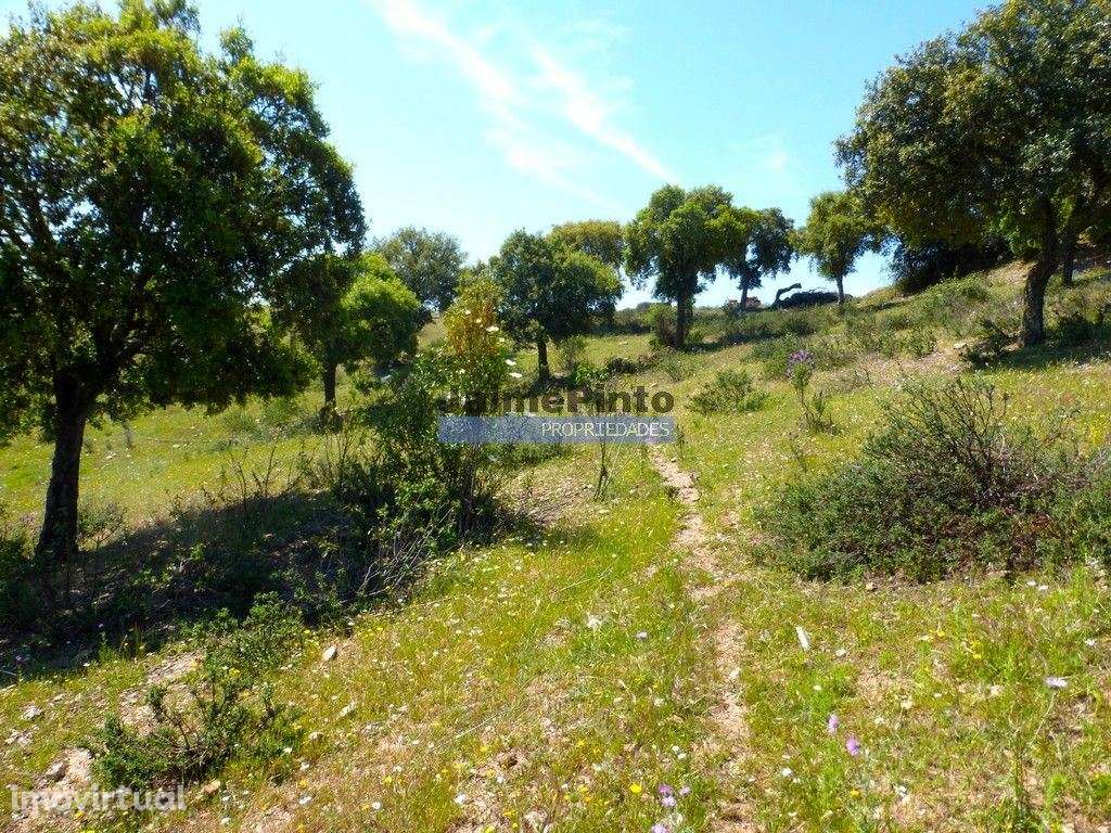 Herdade 800.000m2, Alentejo, Alqueva. Portugal, Portel. - Grande imagem: 2/8