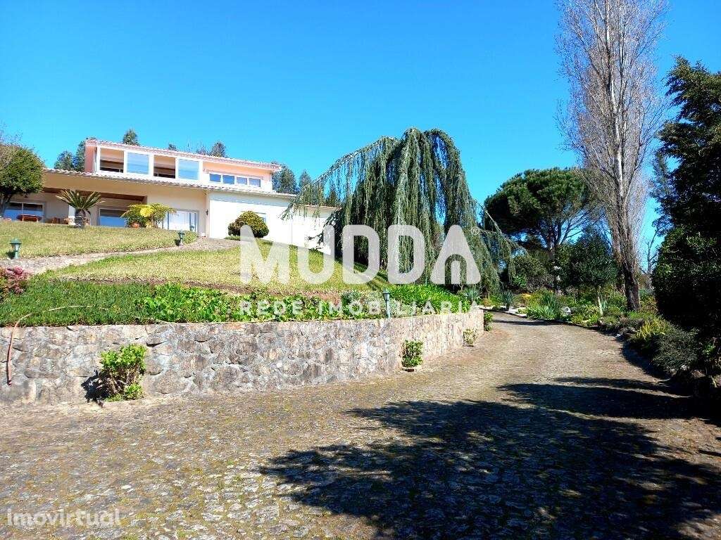 Excelente Moradia T4 - Oliveira de Azeméis com magnifica vista Serra - Grande imagem: 3/60