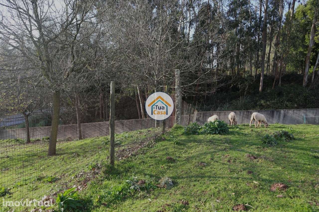 Terreno em Calendário com Viabilidade de Construção - Grande imagem: 5/16