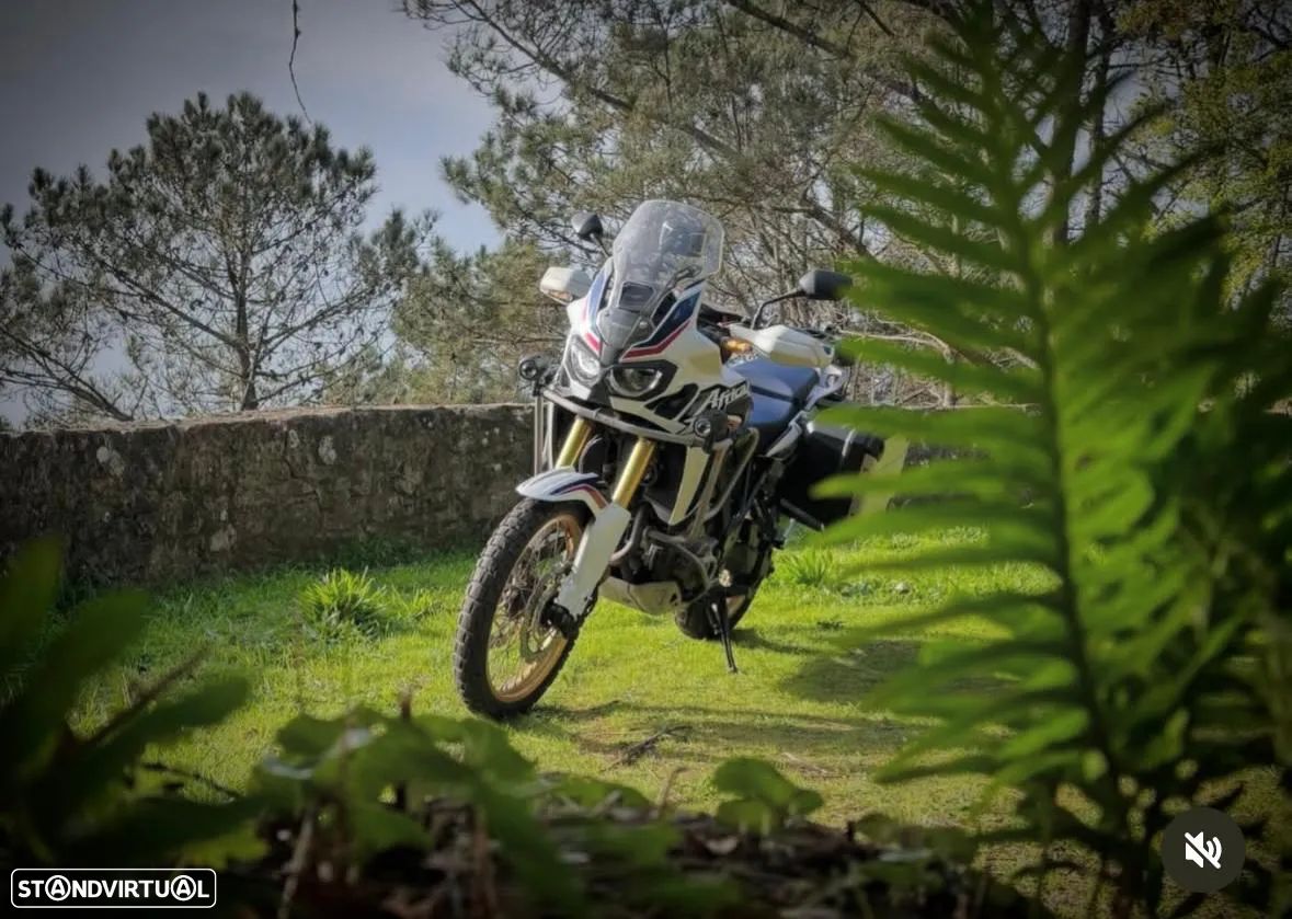 Honda Africa Twin CRF 1000L - 1