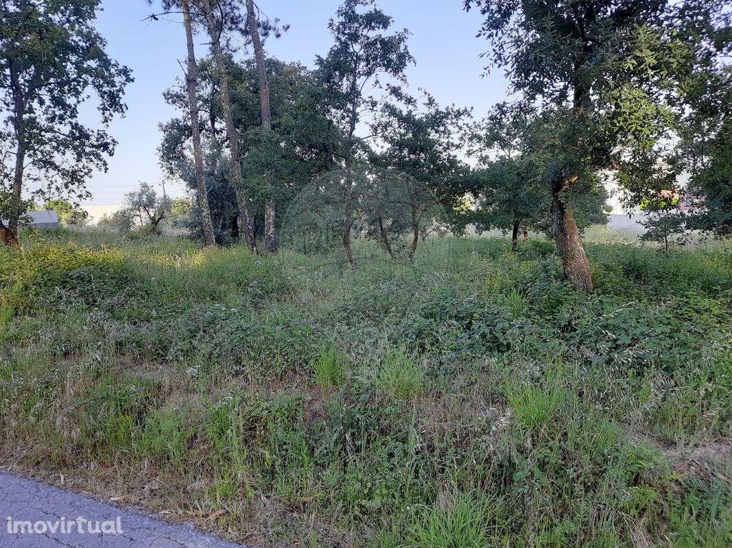 Terreno  para venda - Grande imagem: 4/4