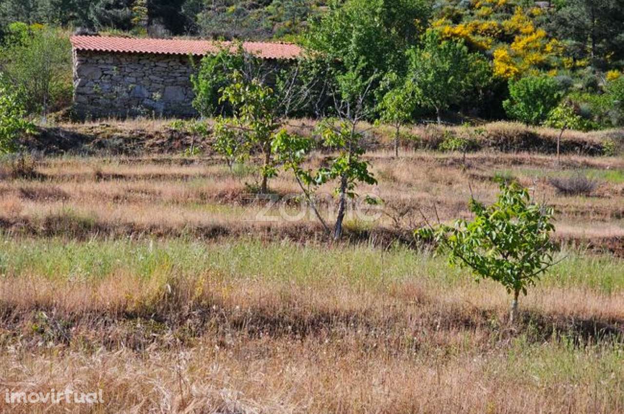 Terreno com 6 hectares - Grande imagem: 2/22