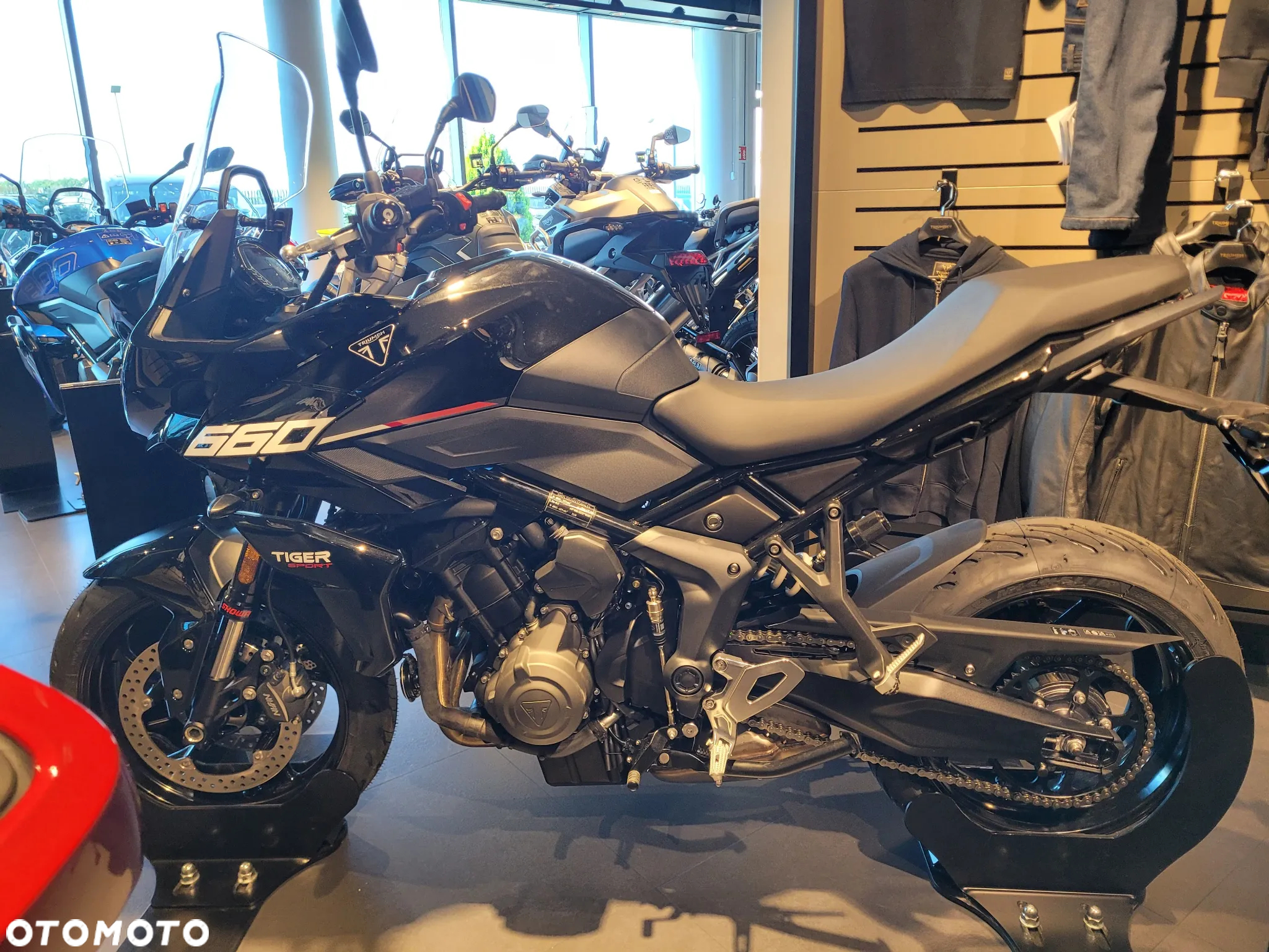Triumph Tiger - 3