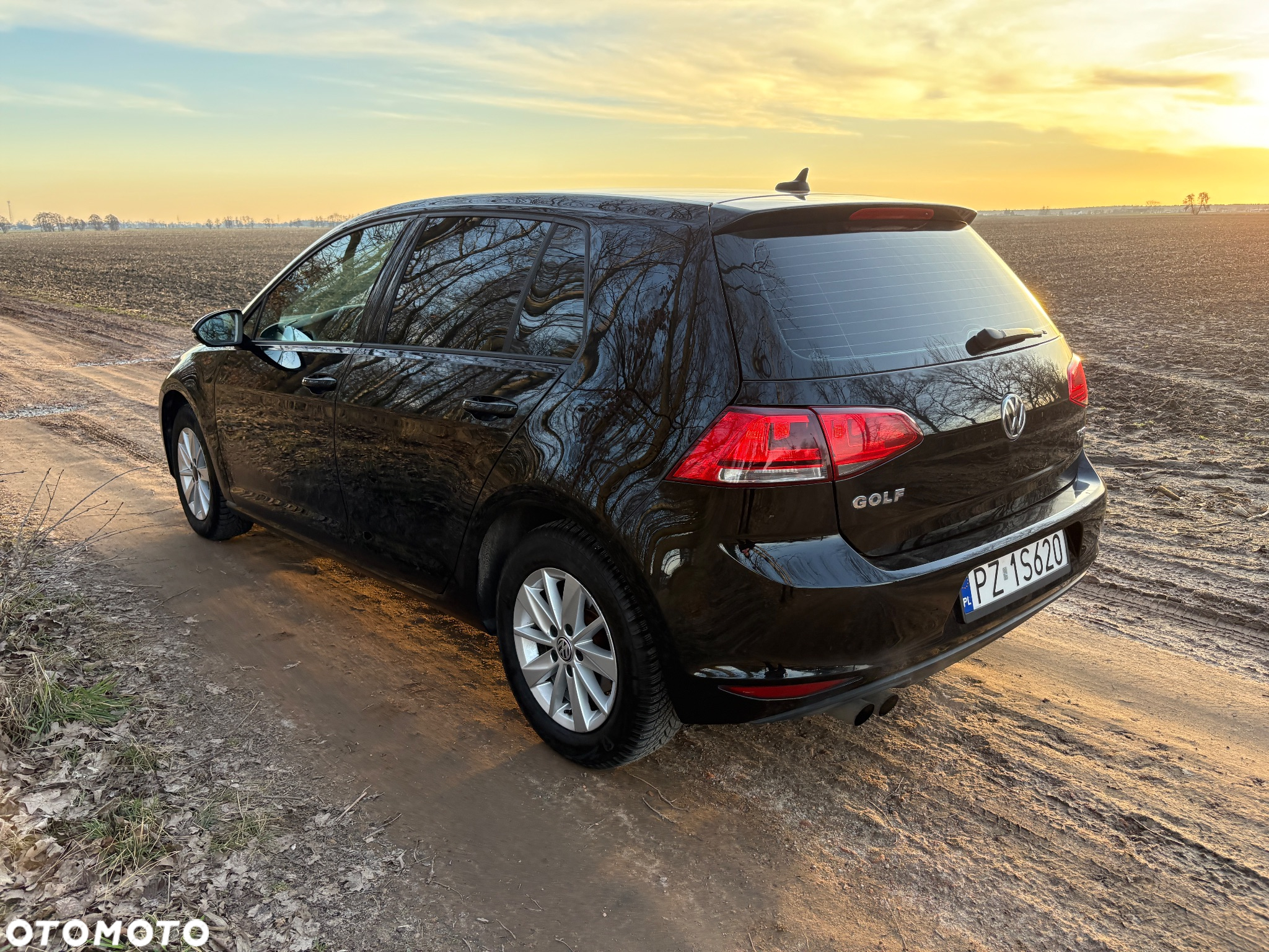 Volkswagen Golf - 6