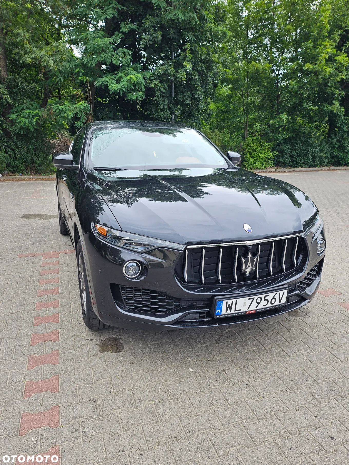 Maserati Levante Standard - 1