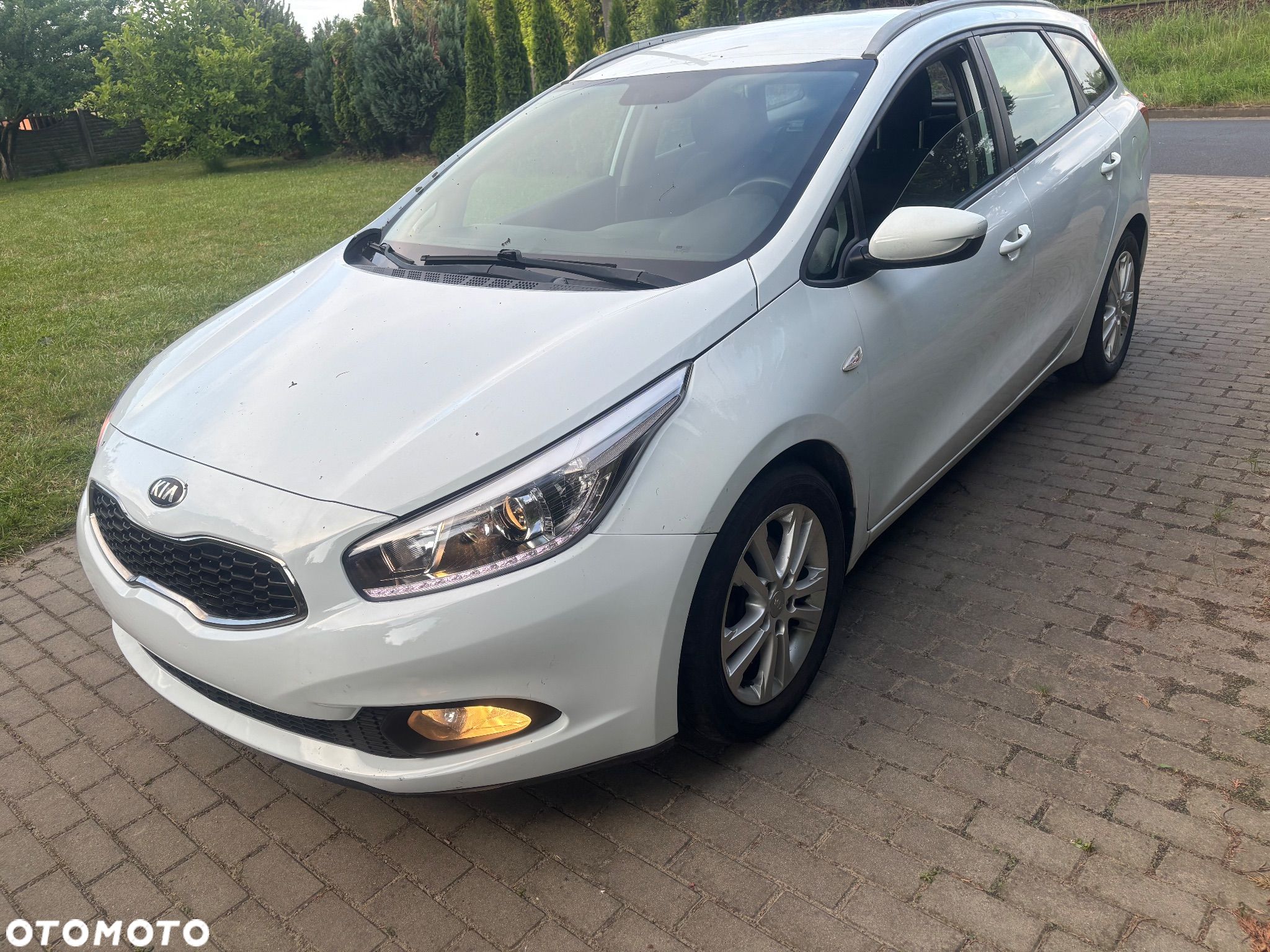Kia Ceed - 1