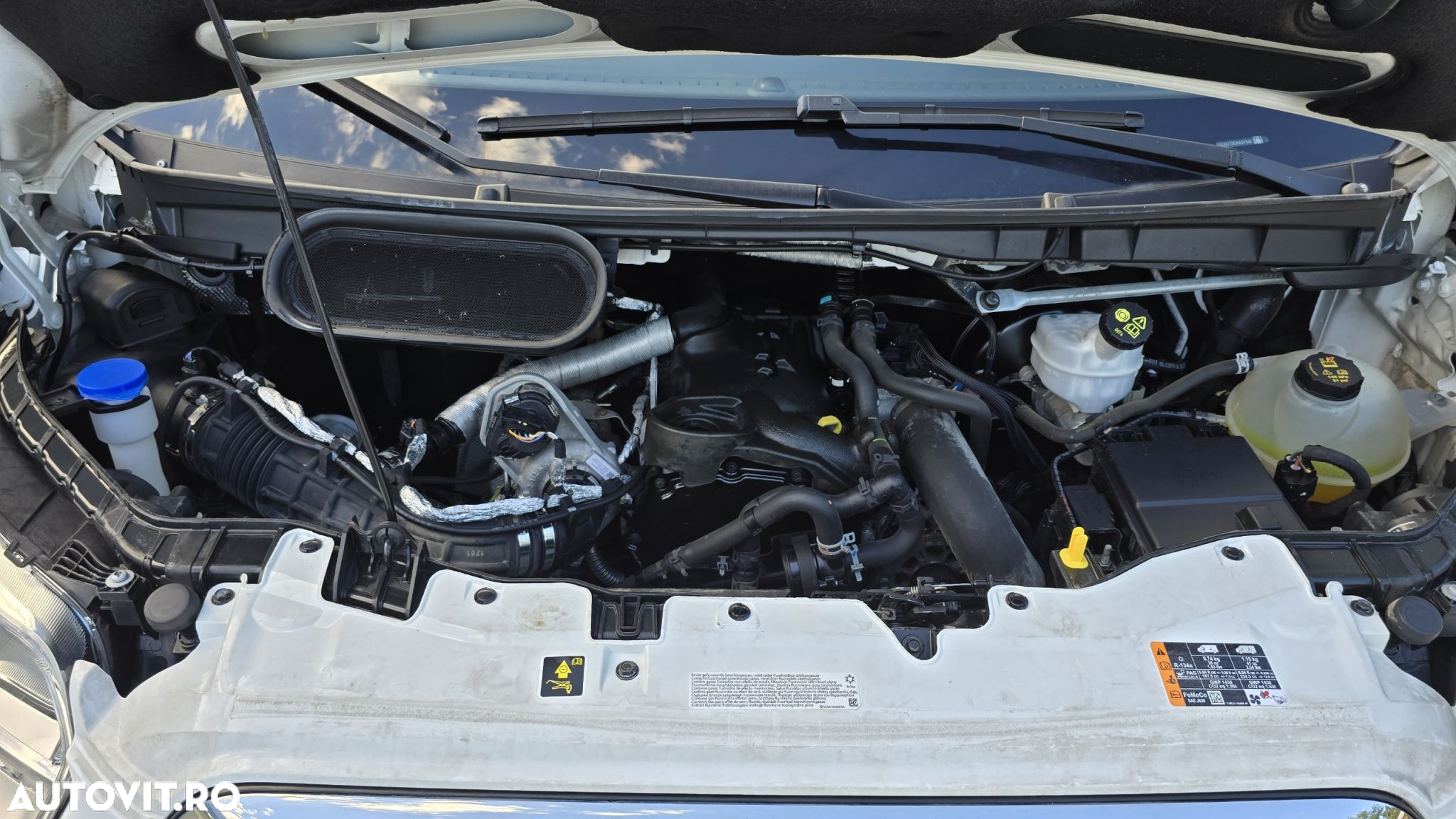 Ford Transit - 23