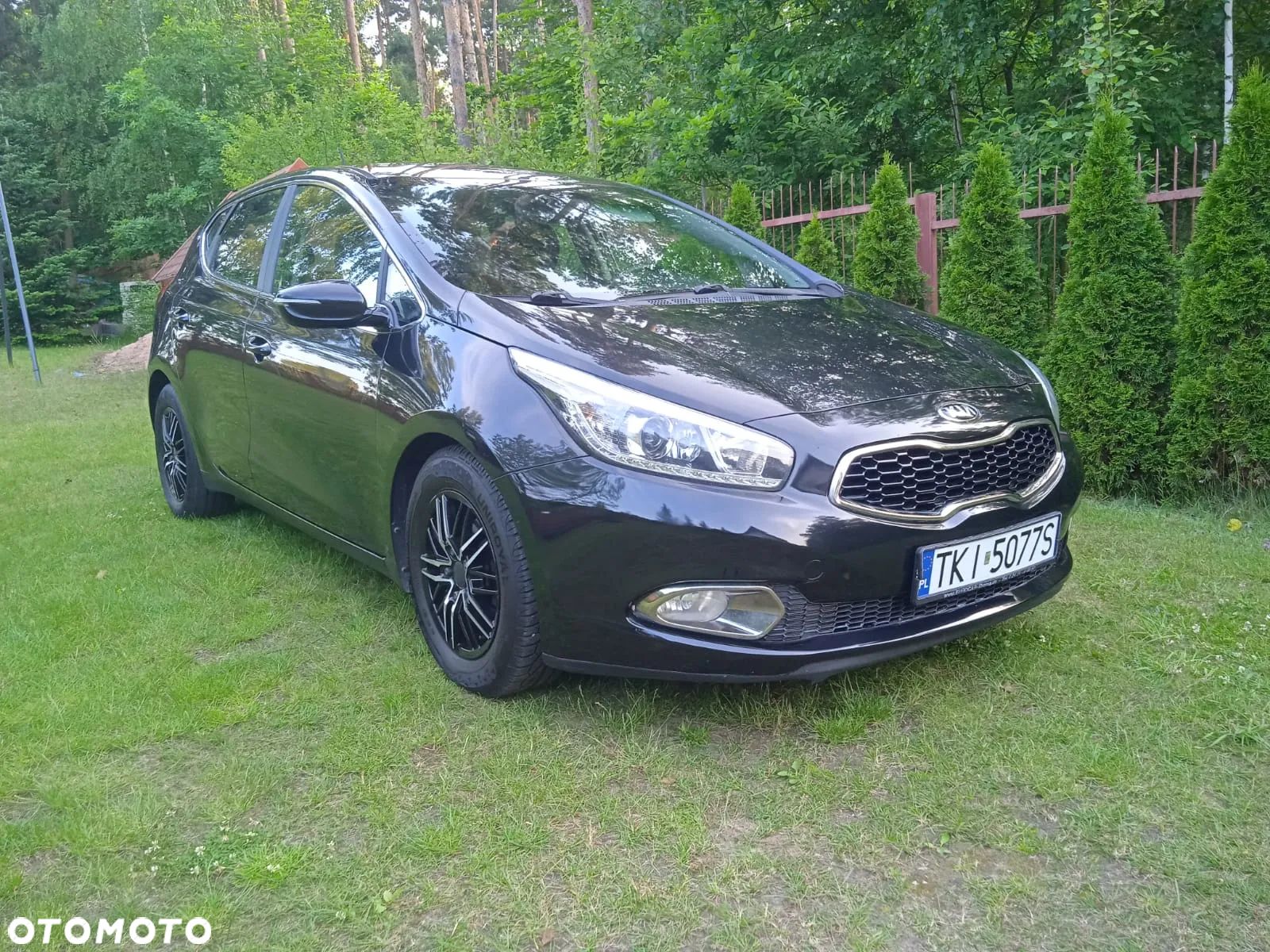 Kia Ceed - 1
