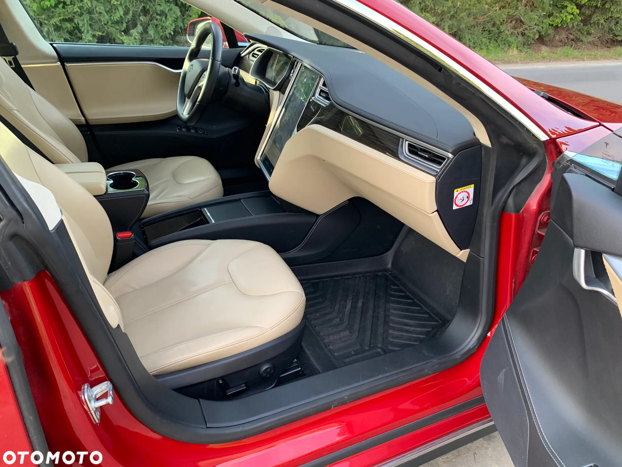 Tesla Model S Performance - 17