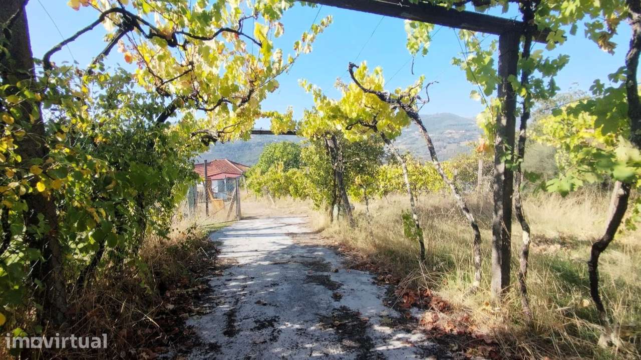 Moradia T3 à venda em Freigil e Miomães, Resende — foto 6