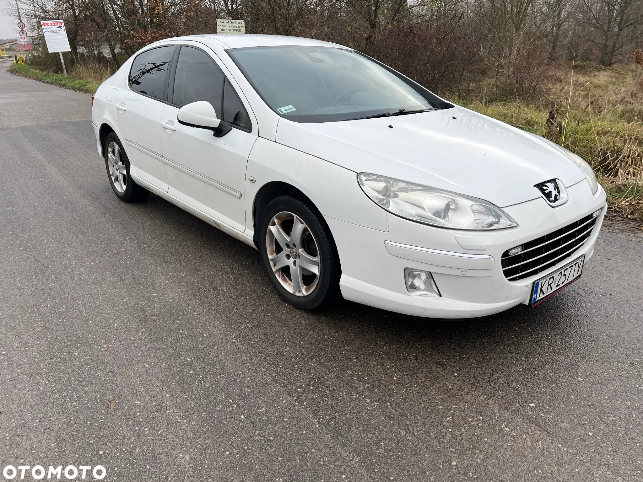 Peugeot 407 HDi 140 Sport - 4