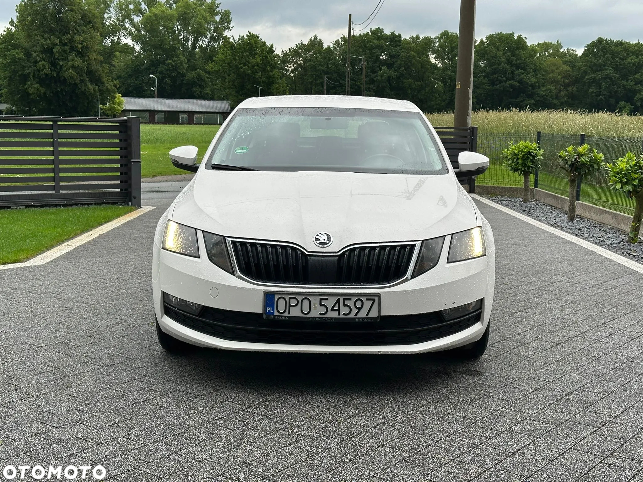 Skoda Octavia 1.6 TDI SCR Active - 3
