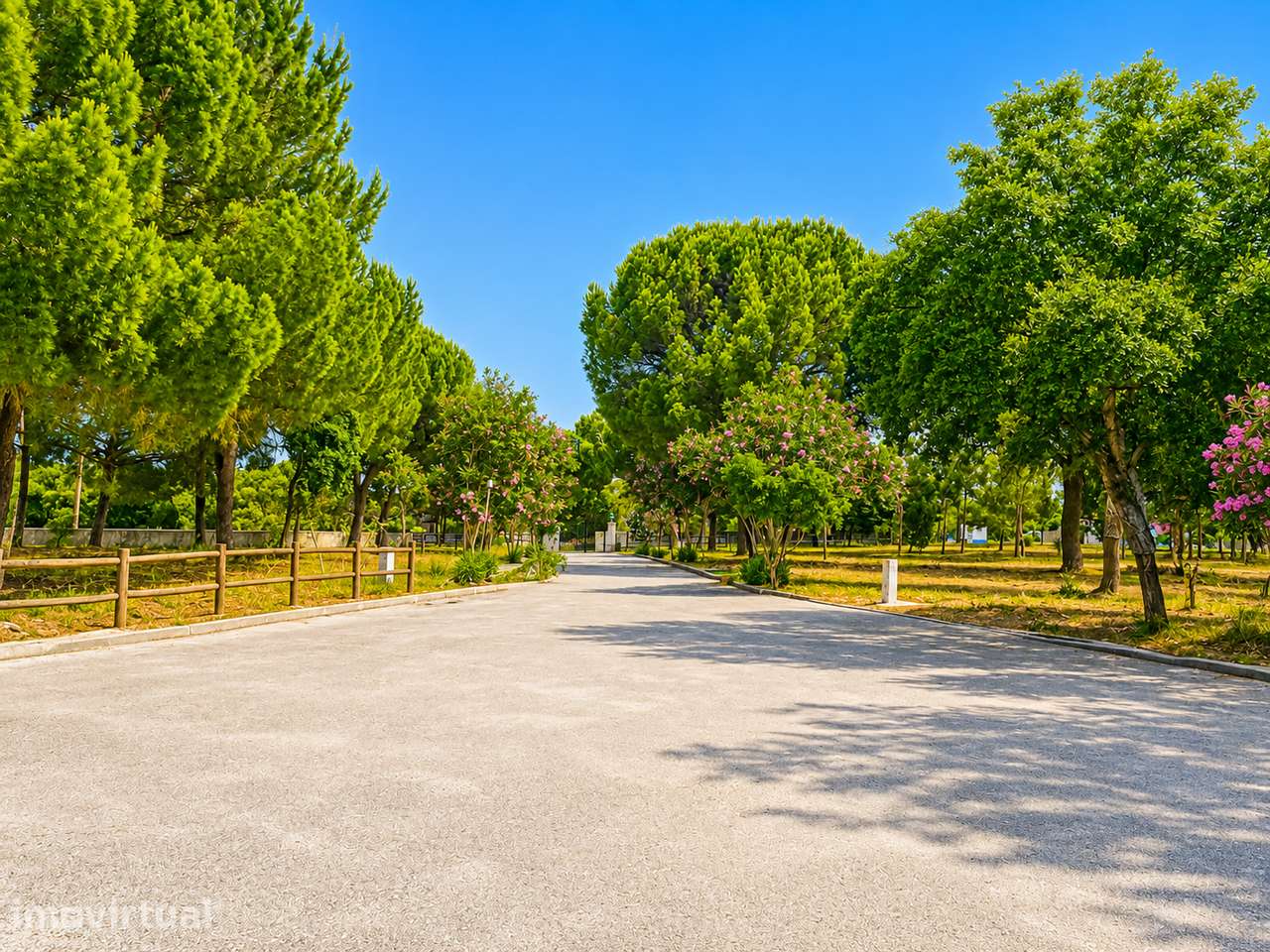 Quinta Alentejana a 1h de Lisboa - Grande imagem: 2/15