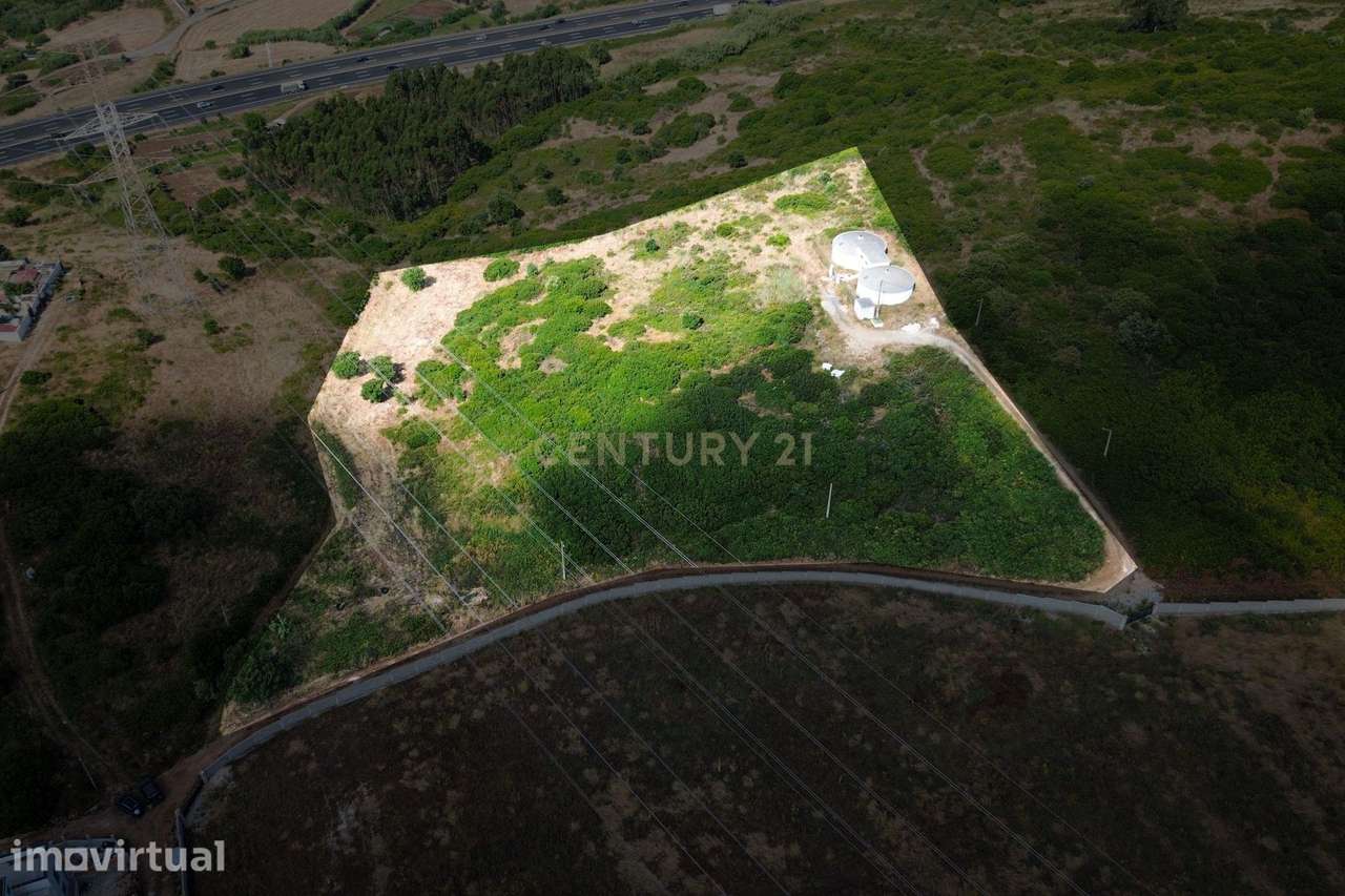 Terreno com Potencial Agrícola e Ambiental | 11.580 m² – Murteira - Grande imagem: 4/18