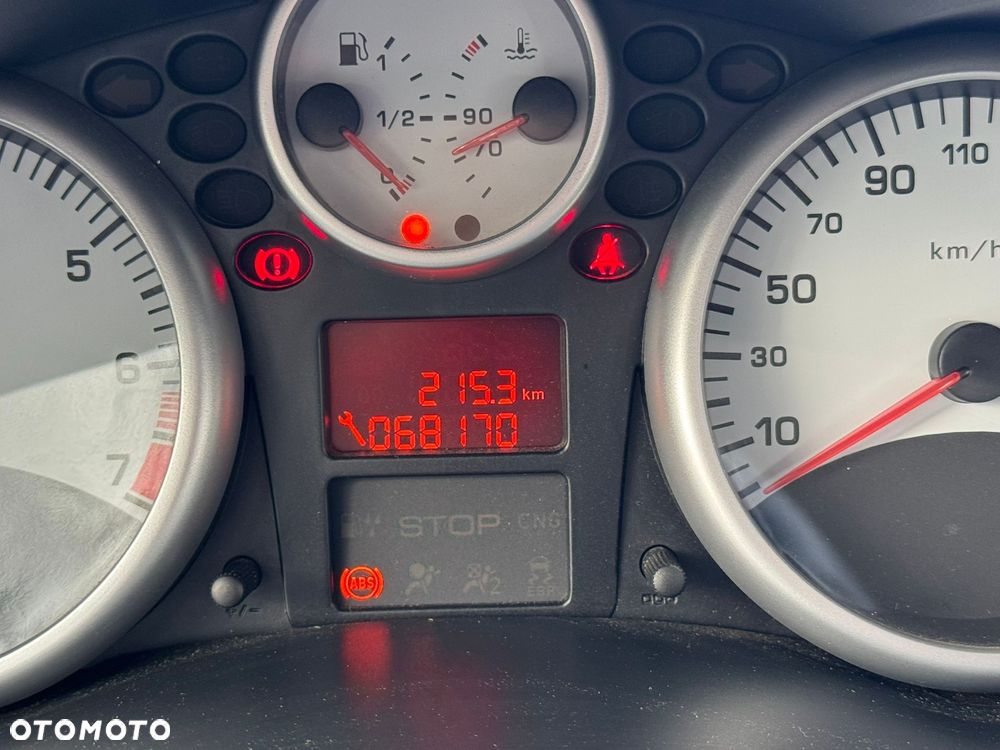 Peugeot 206 plus - 9