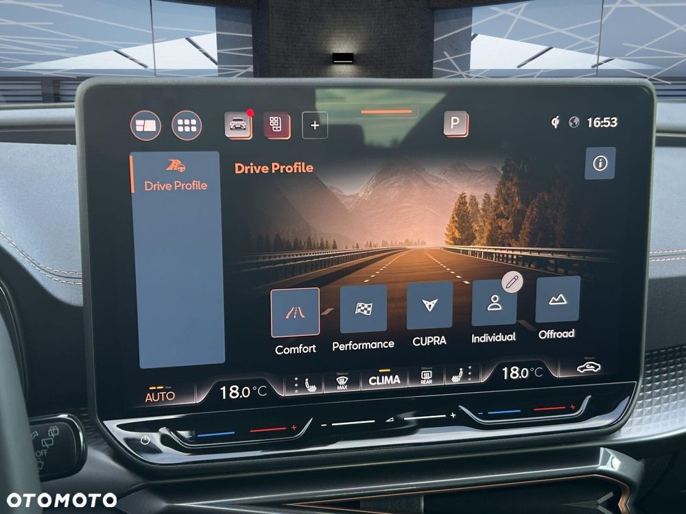 Cupra Formentor 2.0 TSI 4Drive DSG - 22