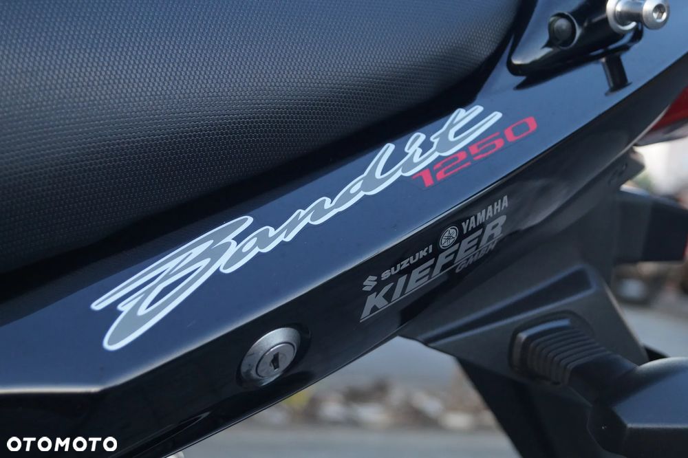 Suzuki Bandit - 15