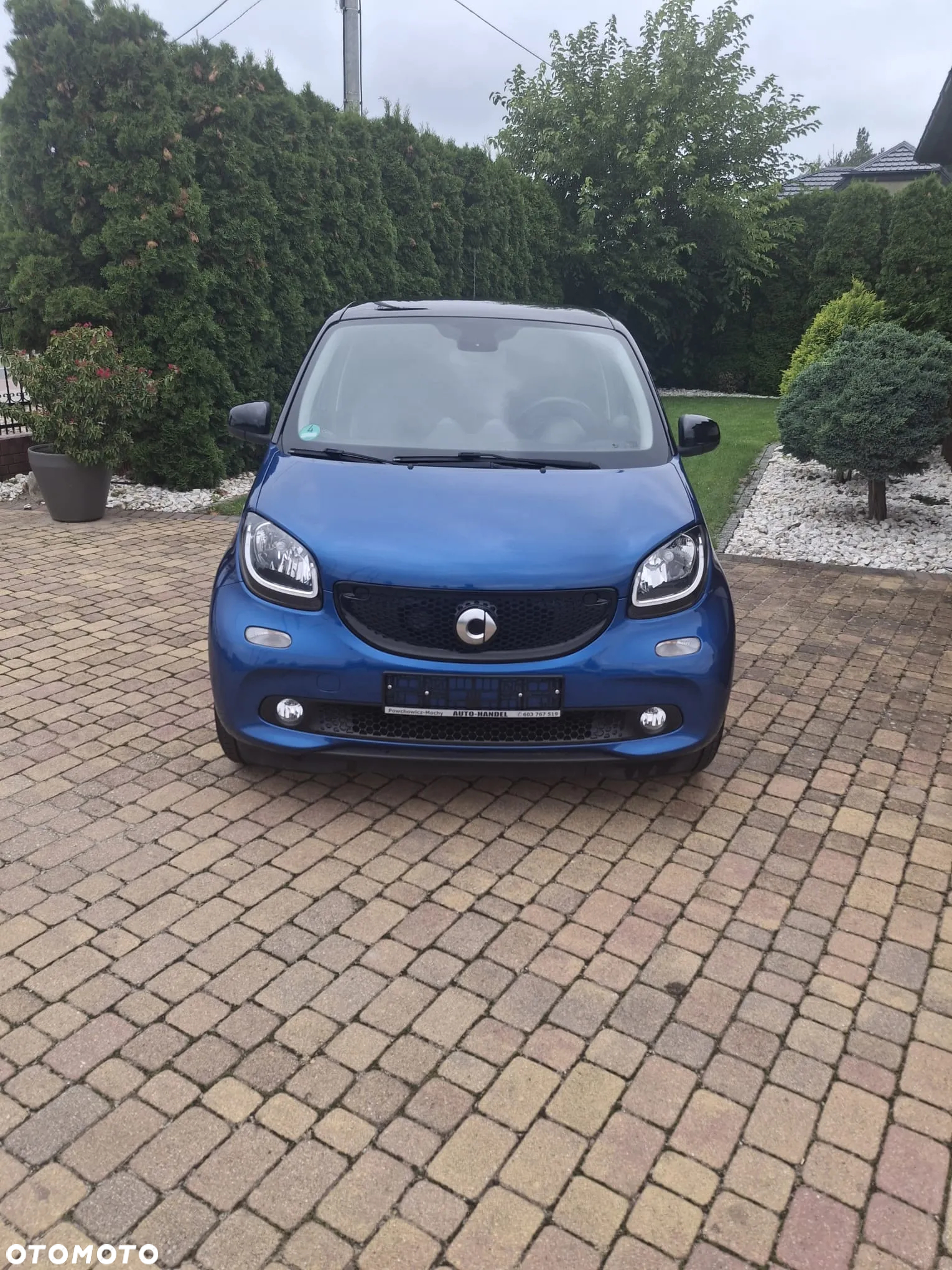 Smart Forfour prime - 3