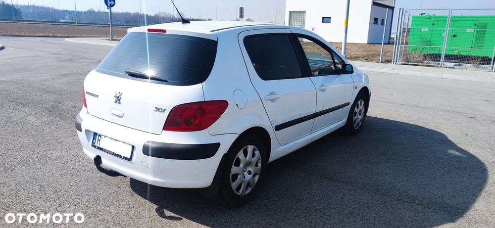 Peugeot 307 - 5