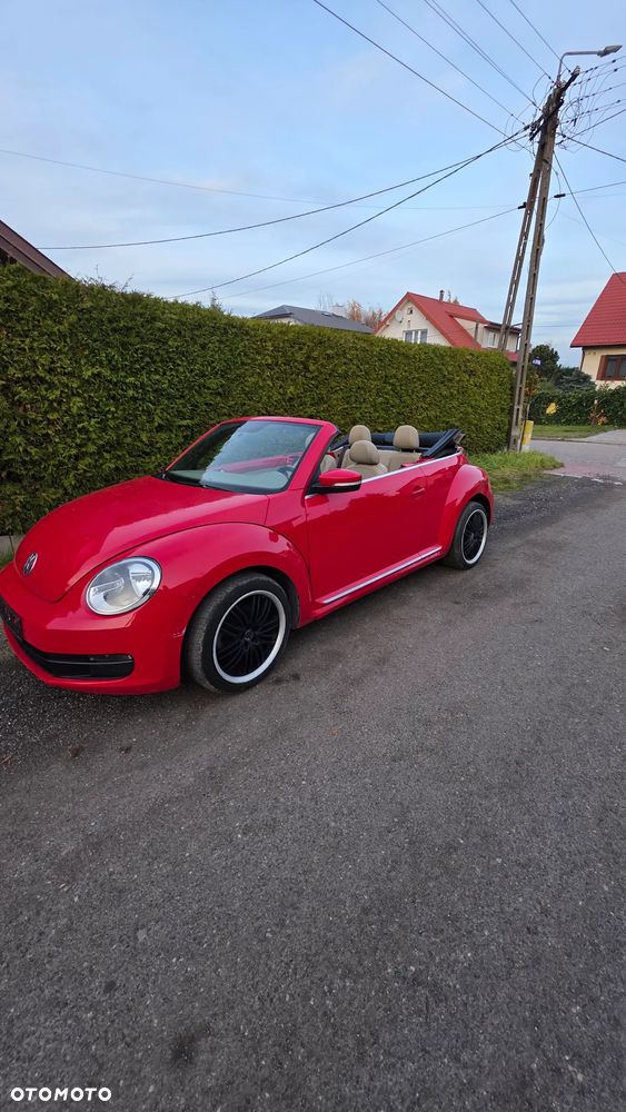 Volkswagen Beetle - 11