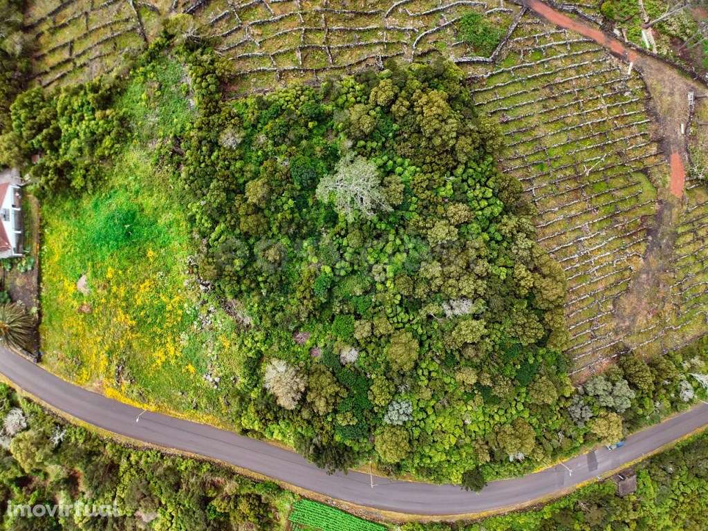 Terreno para construção Bandeiras, Cais do Mourato - Ilha do Pico - Grande imagem: 2/10
