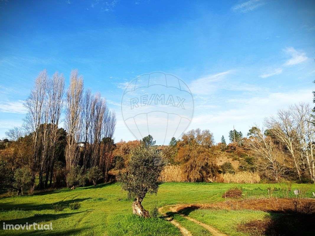 Terreno  para venda - Grande imagem: 4/5