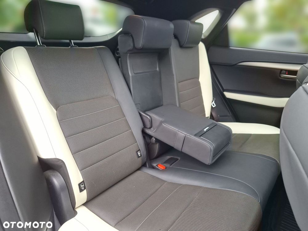 Lexus NX 300 GPF F Sport AWD - 22
