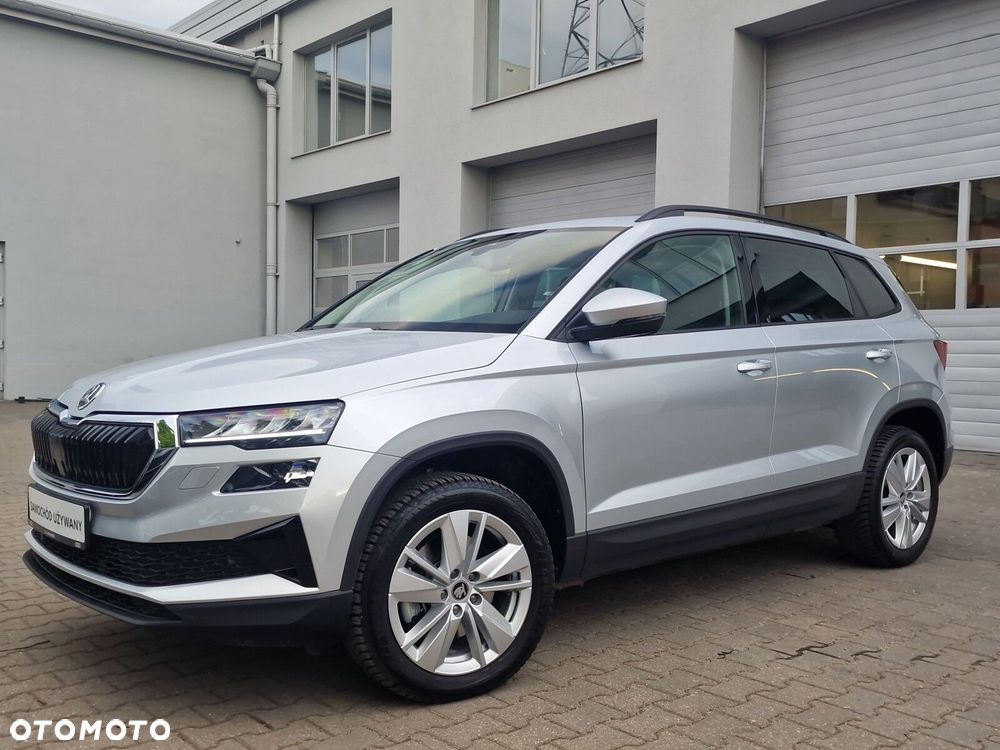 Skoda Karoq - 25