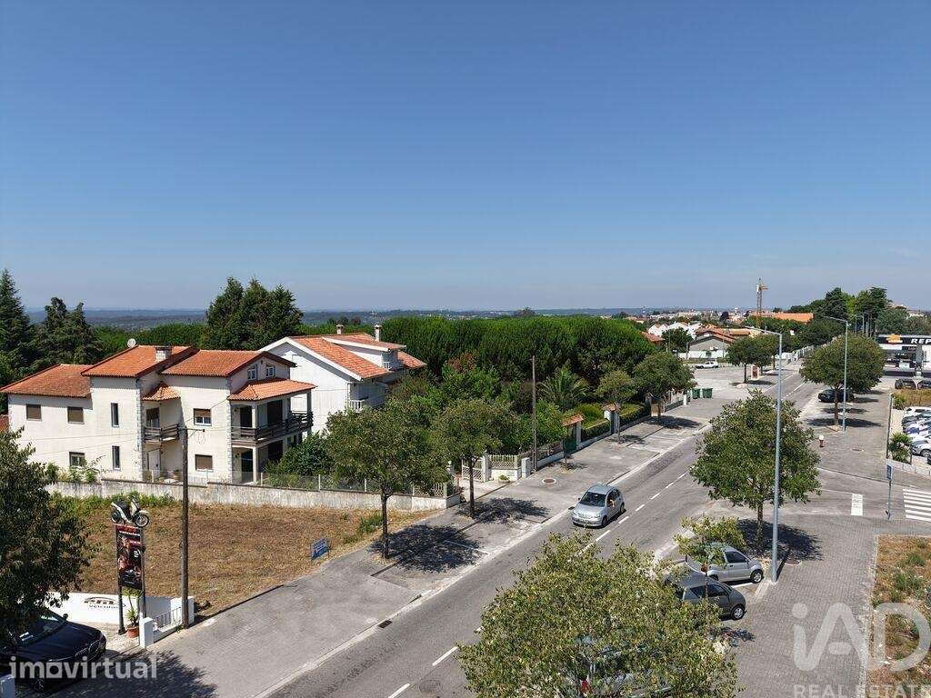 Terreno Agrícola em Carregal do Sal - Grande imagem: 4/8