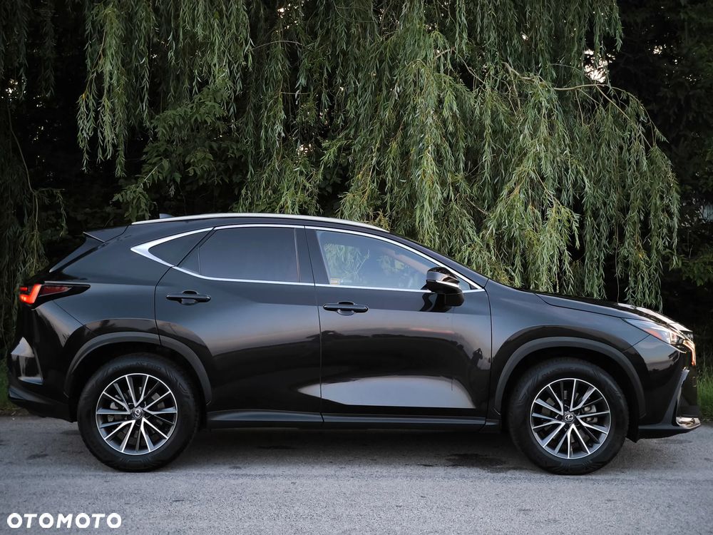 Lexus NX - 6