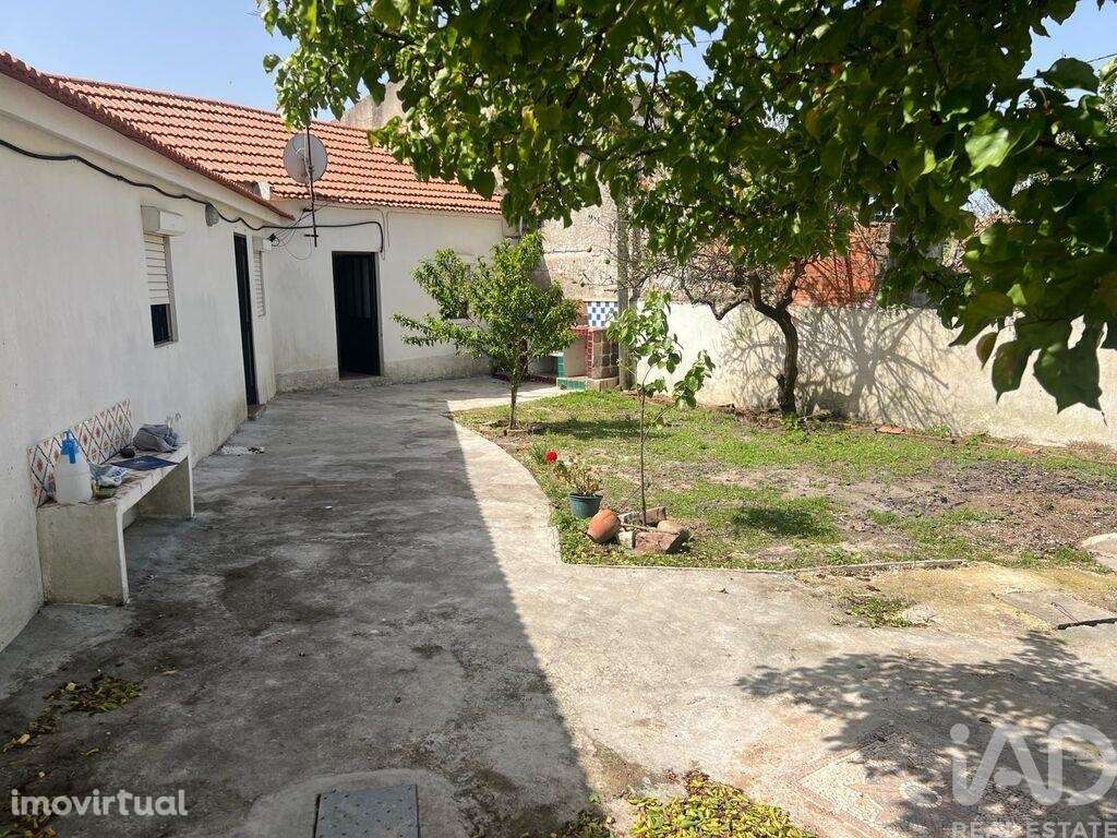 Moradia térrea T2 em Lamas e Cercal de 64 m2 - Grande imagem: 2/39