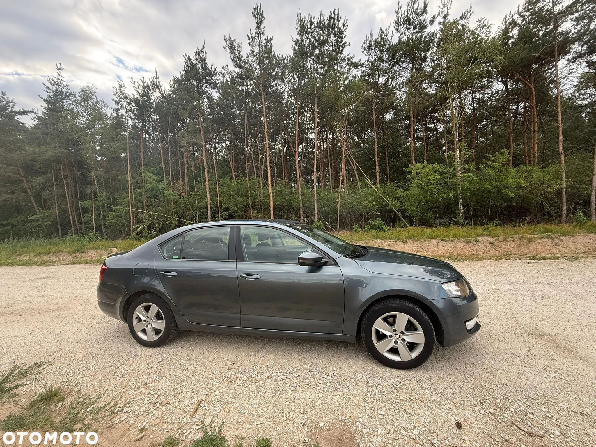 Skoda Octavia 1.4 TSI Ambition - 1