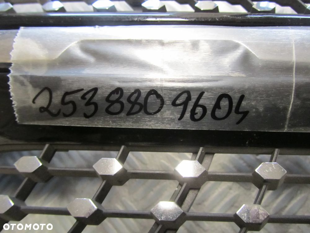 atrapa 2538809604 - 2