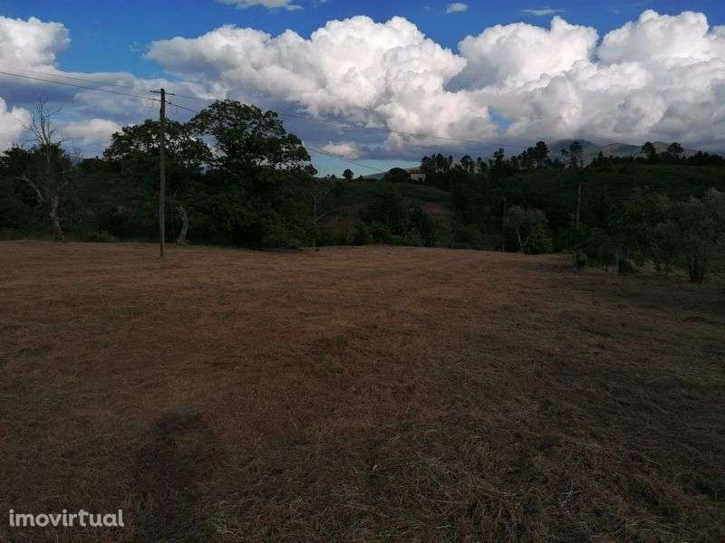 Quinta em Galizes - Grande imagem: 4/8