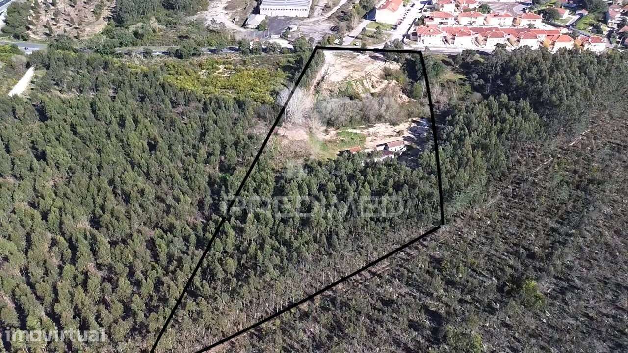 Terreno com 17.615 m² com Ruína e Potencial de Destaque - Grande imagem: 3/4