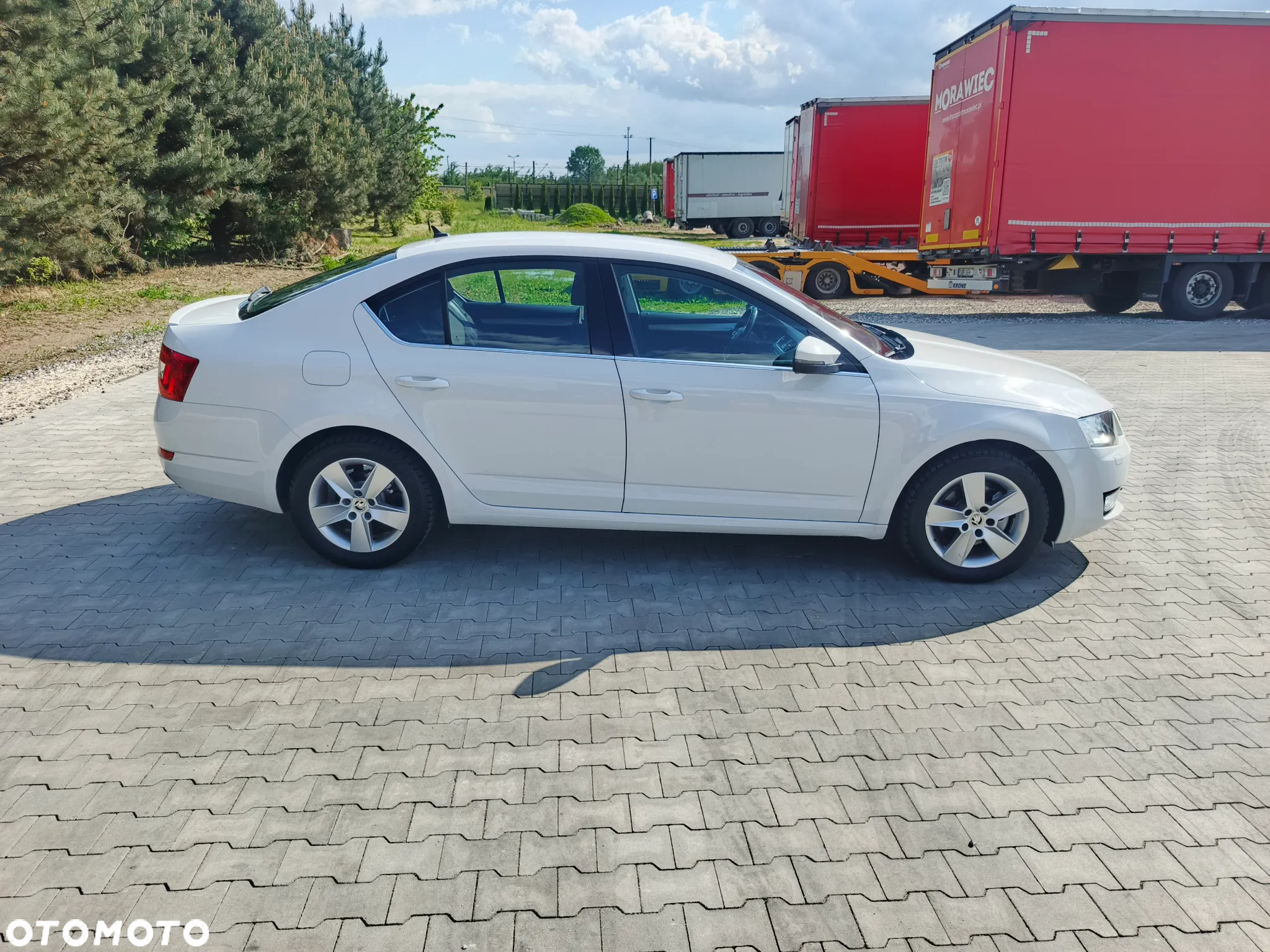 Skoda Octavia 1.6 TDI Greenline - 15