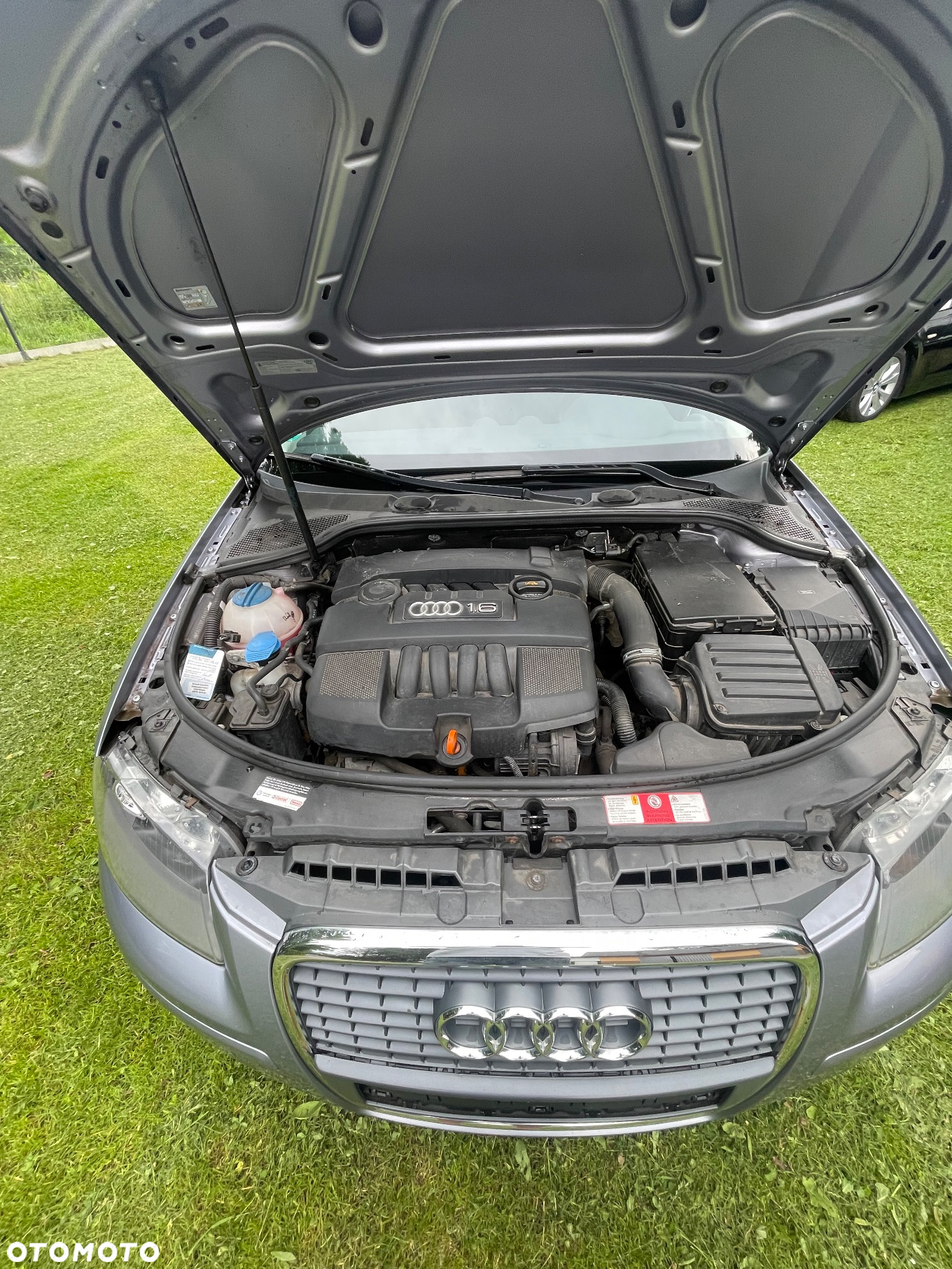 Audi A3 1.6 Sportback Ambiente - 8