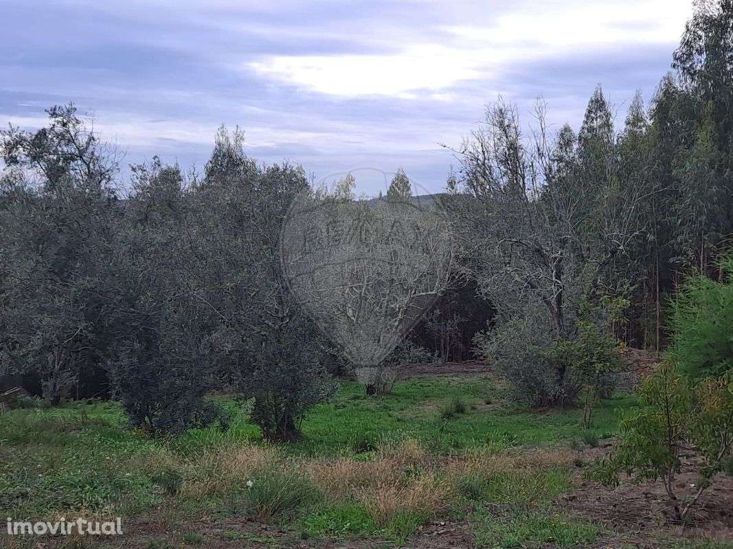 Terreno  para venda - Grande imagem: 2/3