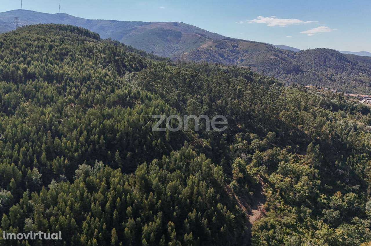 7 Terrenos Rústicos em Folques, Arganil - Grande imagem: 5/15