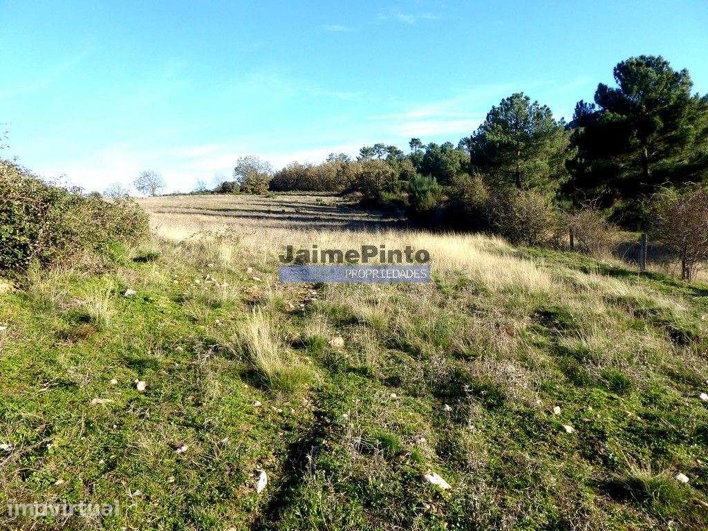 163.000m2 terra p/ plantações novas. Portugal, Douro Interior, F. C... - Grande imagem: 2/3