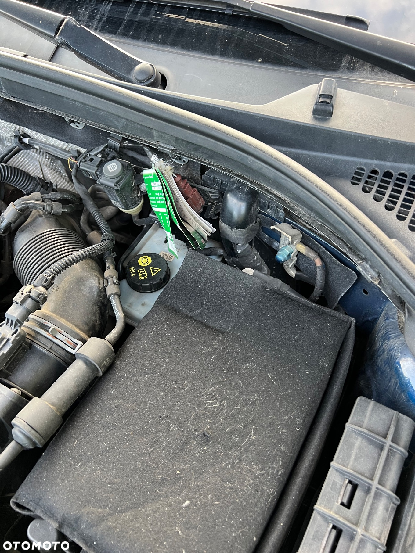 Skoda Octavia 1.6 TDI Ambition - 11