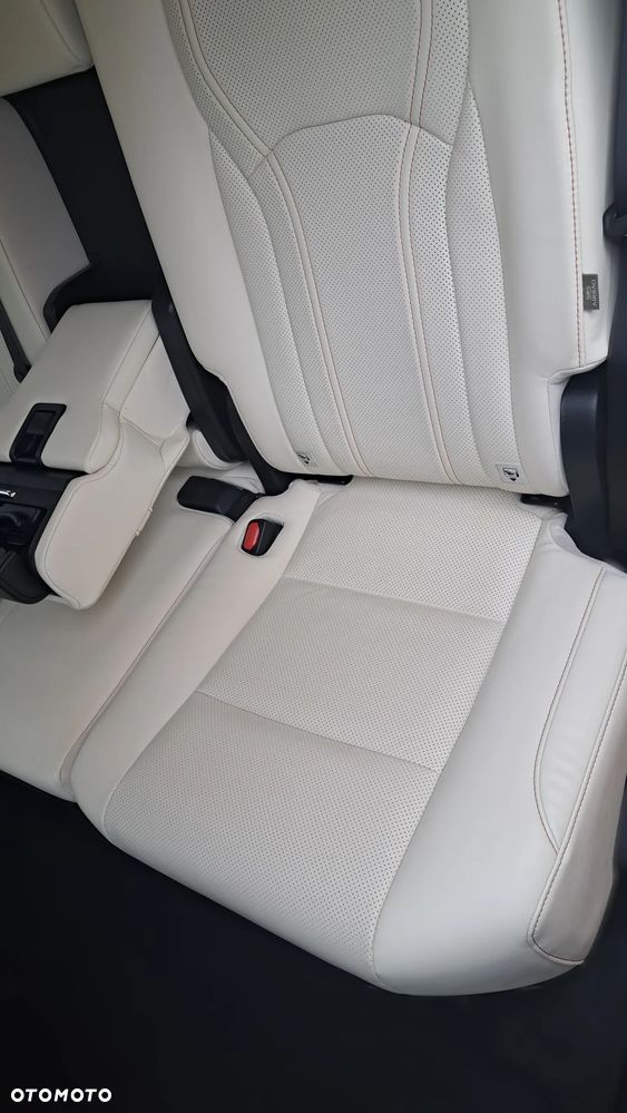 Lexus RX 450h F-Impression - 16