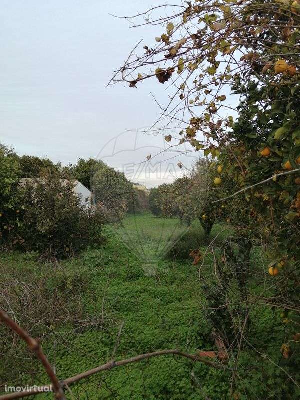 Terreno  para venda - Grande imagem: 2/6