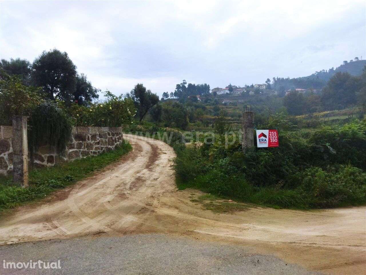Quinta / Cinfães, Tarouquela - Grande imagem: 3/4