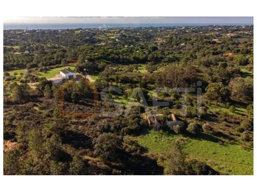 TERRENO CARAMUJEIRA LAGOA PARA MORADIA - Grande imagem: 4/9