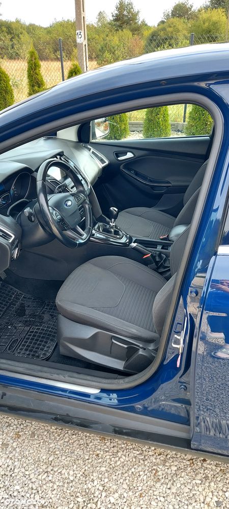 Ford Focus - 8