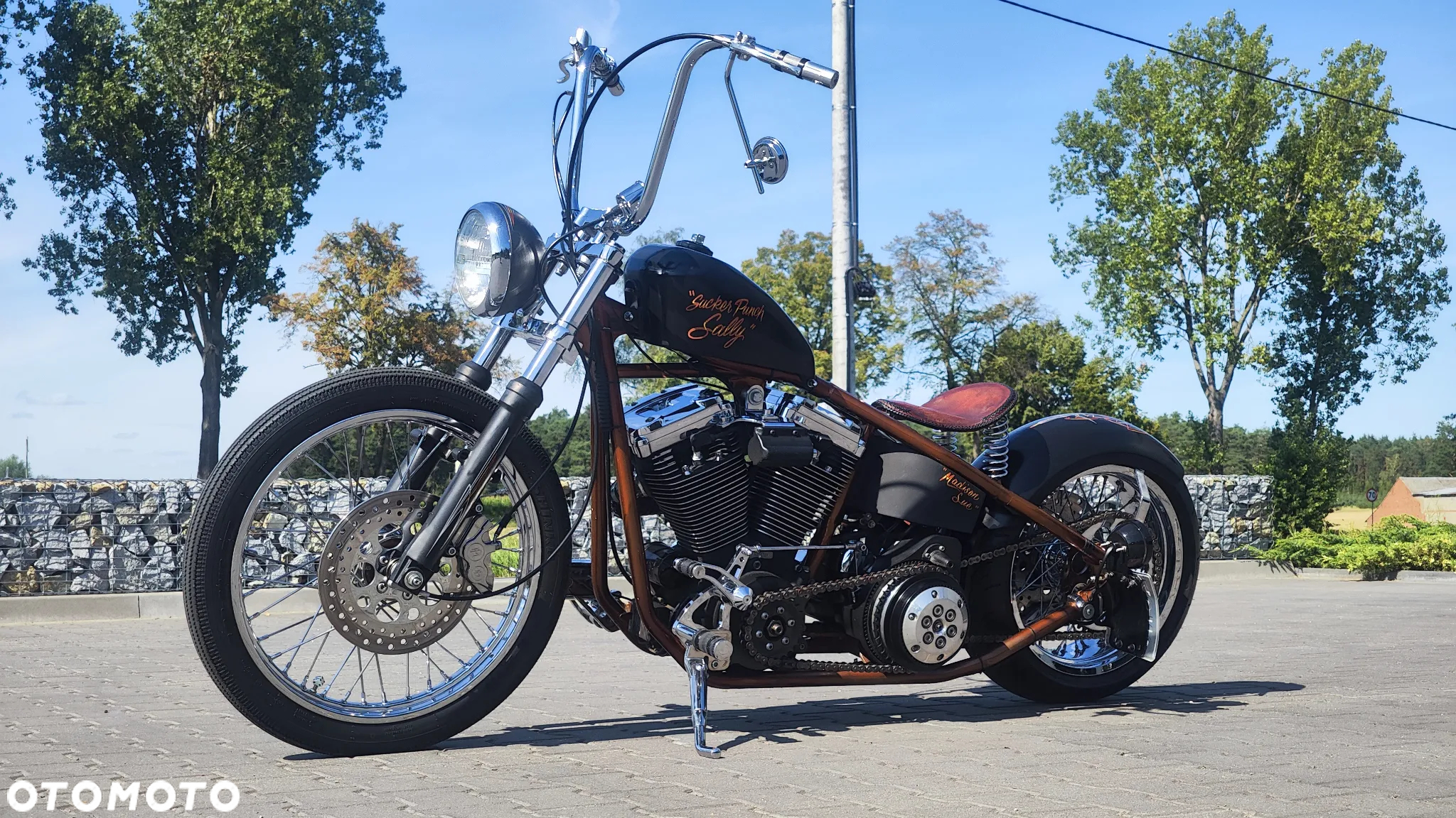 Harley-Davidson Softail - 6
